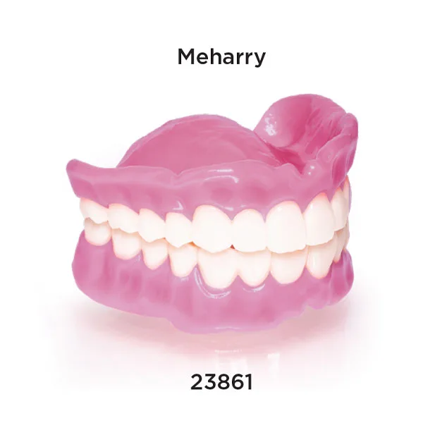Rodin® Denture Base 2.0 - Image 4