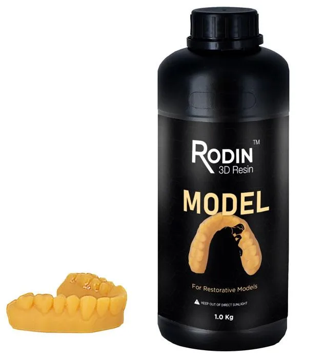 Rodin® Model - Image 2